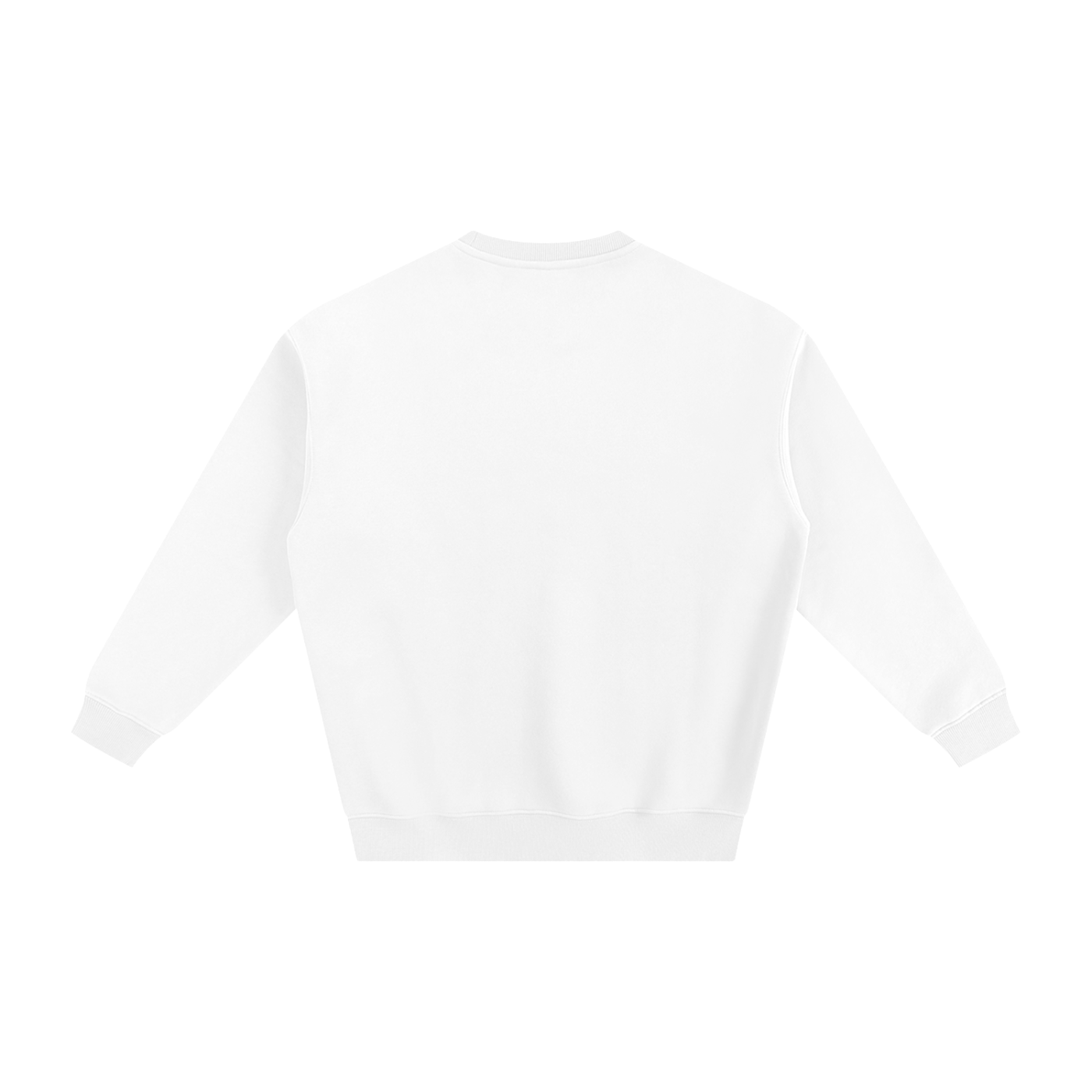 Colorpop Fleeced Sweater