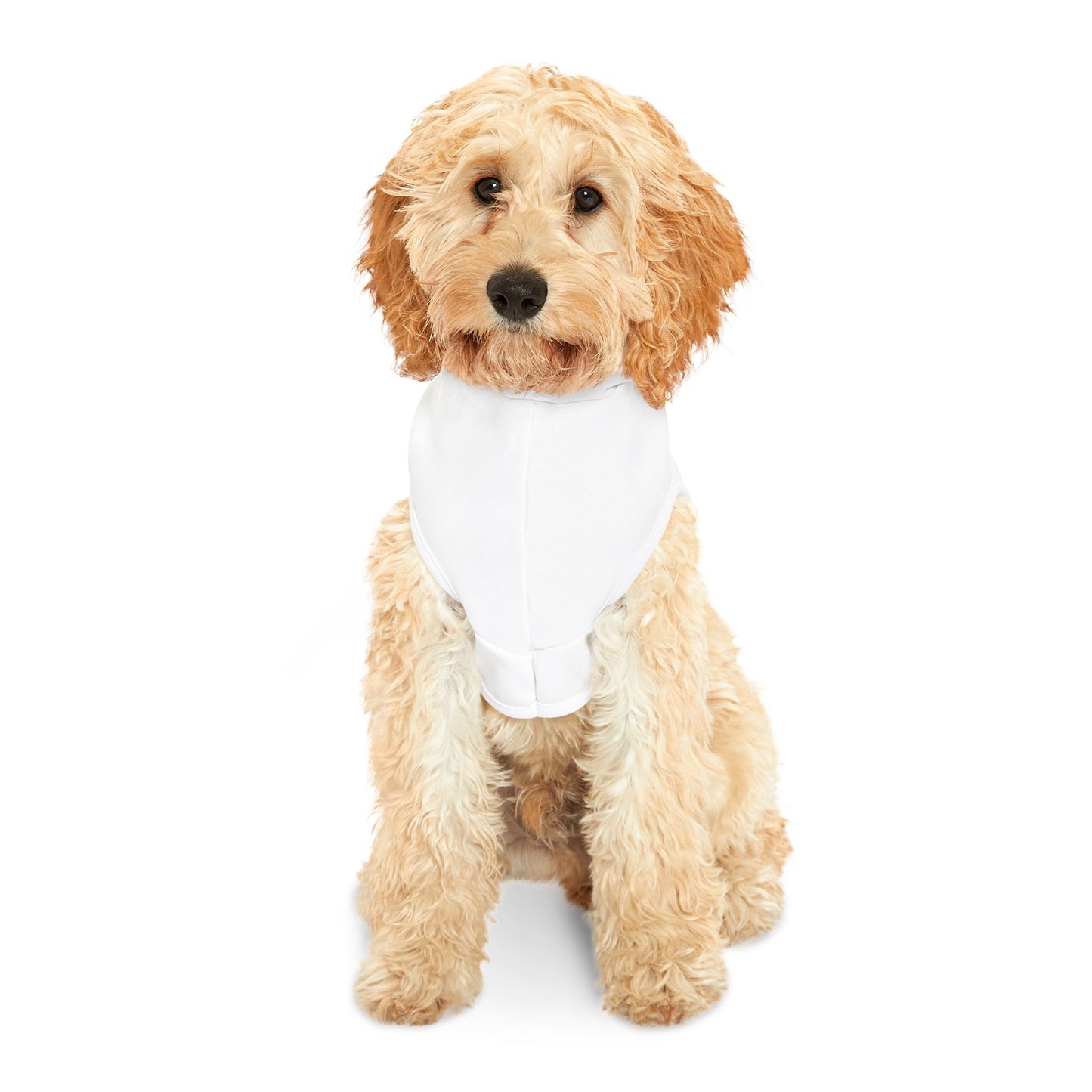 Stylish Pet Hoodie for Trendy Furry Friends, Dog Sweater, Cat Apparel, Comfort Wear for Pets, Pet Fashion, Cozy Pet Gifts