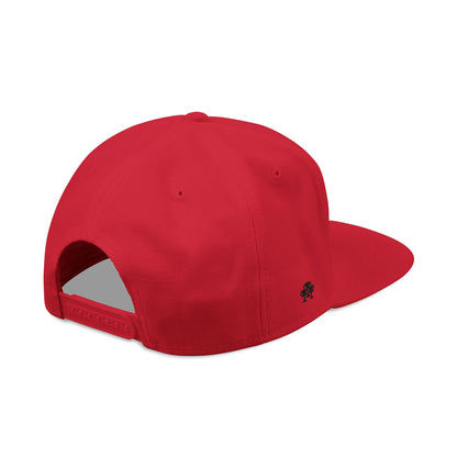 Embroidered Snapback Hat