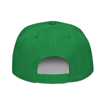 Embroidered Snapback Hat
