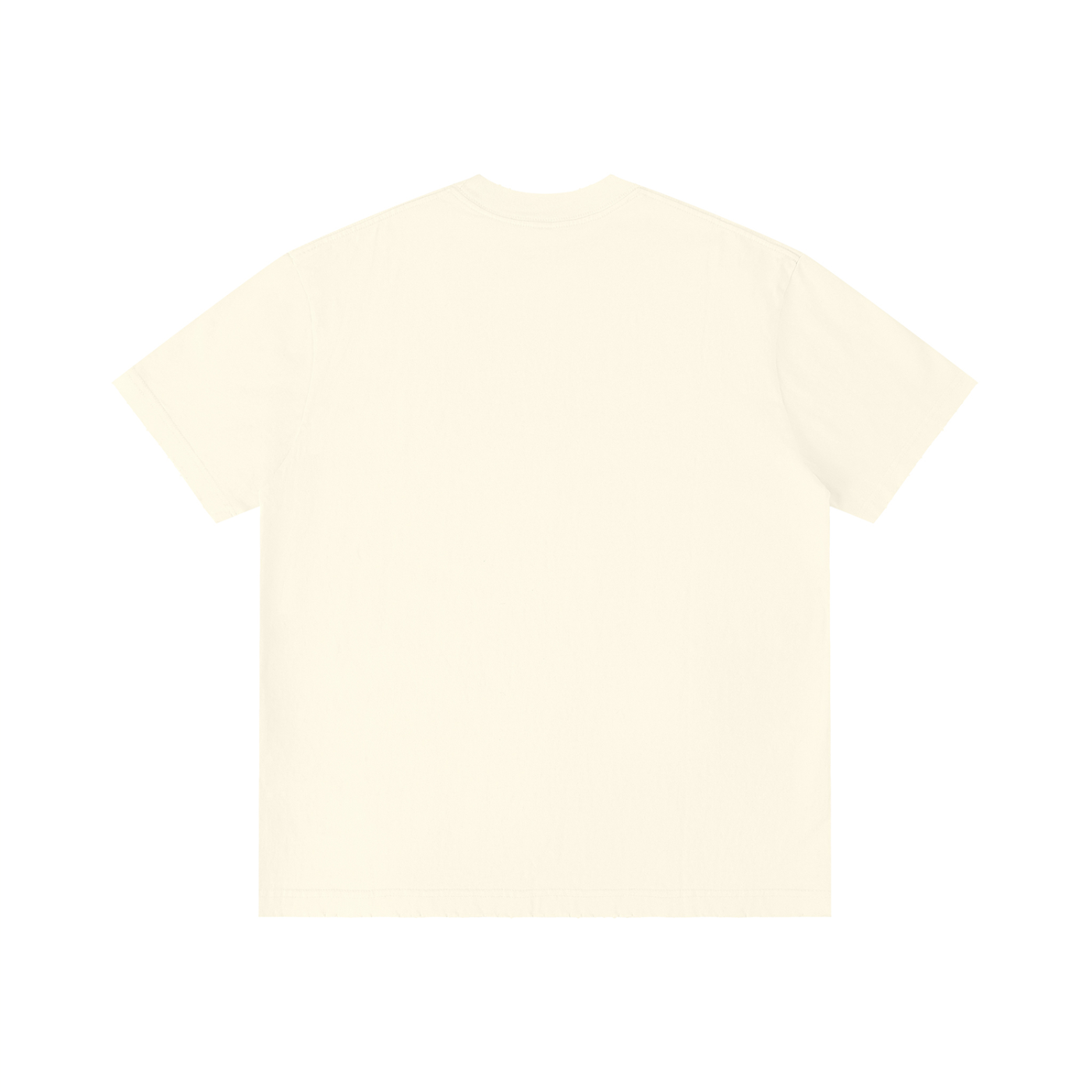 Unisex Vintage Wash Distressed T-Shirt