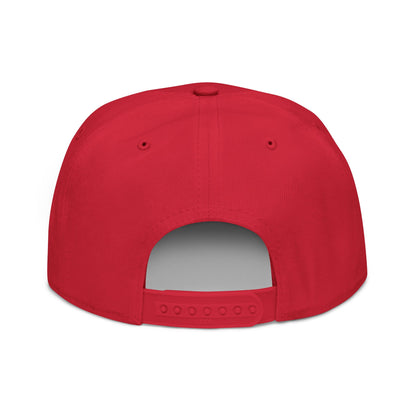 Embroidered Snapback Hat