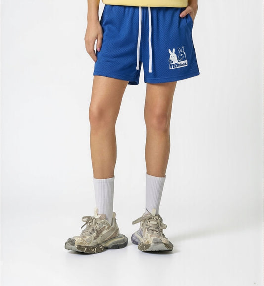 Mesh Drawstring Shorts